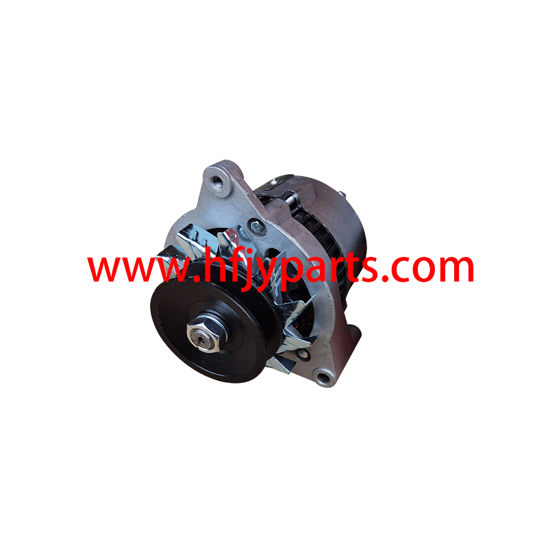 Forklift Parts Alternator for 2409002310024