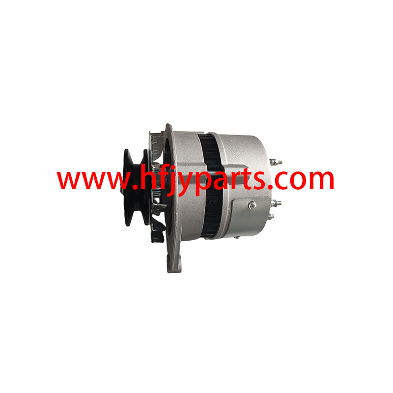 Forklift Parts for Alternator
