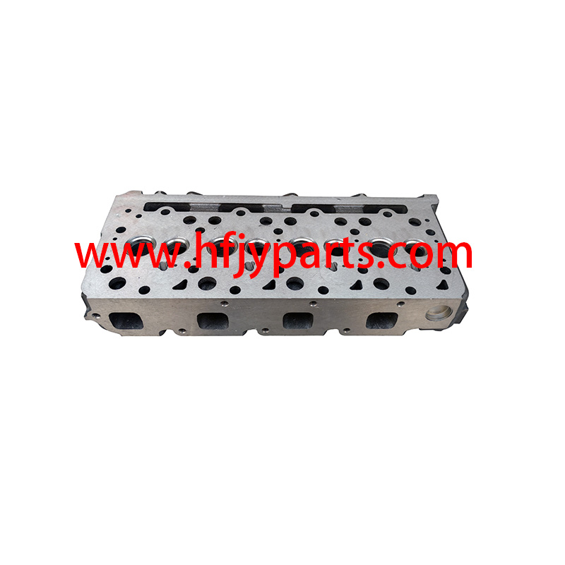 Forklift Engine Parts Cylinder Head for BN-1G896-03040