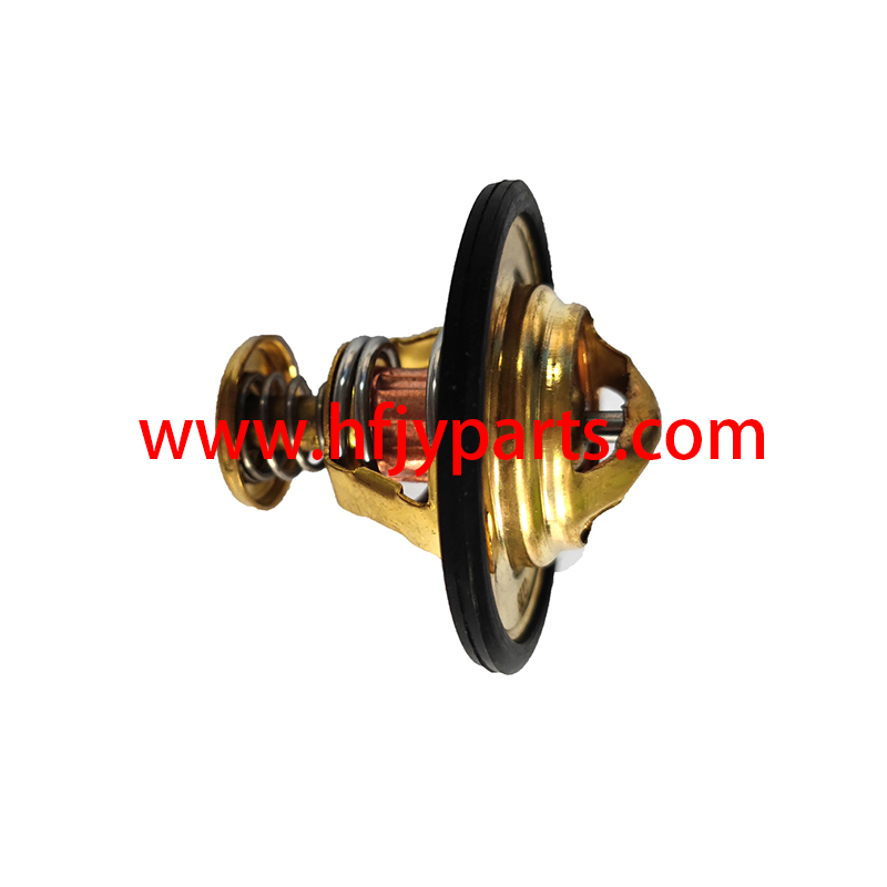Forklift Parts Thermostat